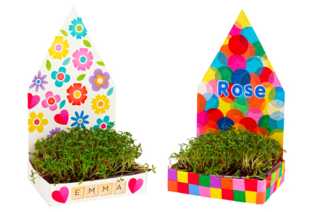Growing Planters Kit - 6 Pieces - 4 - Animal and Nature Kits - 10doigts.com - Kits de naturaleza y fauna: construye tu mini selva en casa. – 10doigts.fr