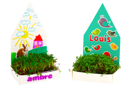 Growing Planters Kit - 6 Pieces - 3 - Animal and Nature Kits - 10doigts.com - Kits de naturaleza y fauna: construye tu mini selva en casa. – 10doigts.fr