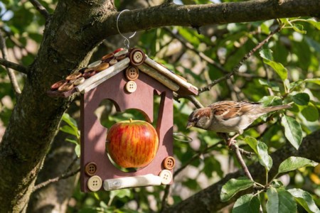 comedero para pájaros de jardín DIY - Actividades manuales sobre el tema de la naturaleza para los niños – 10doigts.fr