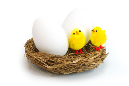 nid y pollito plumas - Accesorios decorativos de Pascua – 10doigts.fr