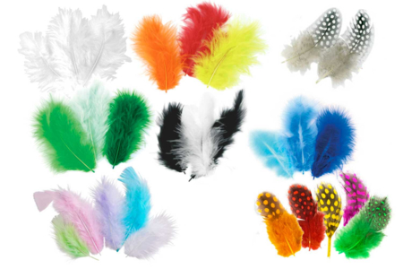 nouvel assortiment plumes - Plumas decorativas – 10doigts.fr
