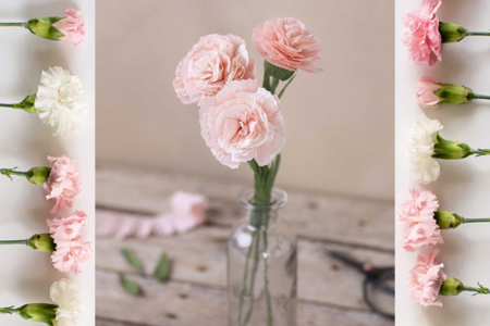 Herramienta para doblar papel - Papel Origami – 10doigts.fr