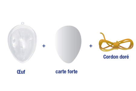 Transparent Plastic Egg - 3 - Transparent Plastic - 10doigts.com - Transparent Plastic – 10doigts.fr