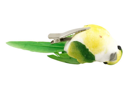 pájaro realista colorido - Elementos decorativos adhesivos – 10doigts.fr