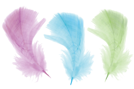 Pastel Feathers - Approximately 50 Feathers - 2 - Decorative Feathers - 10doigts.com - Decorative Feathers – 10doigts.fr