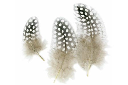 Plumas naturales - Set de aproximadamente 50 plumas - Plumas decorativas – 10doigts.fr