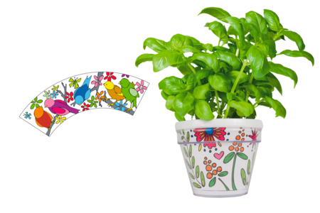 Maceta para colorear - Kits de naturaleza y fauna: construye tu mini selva en casa. – 10doigts.fr