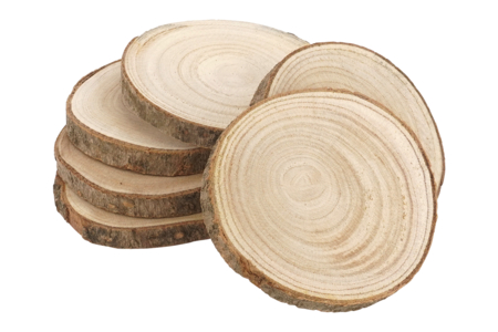 Wood Log Discs Ø 8 to 11 cm - 6 Pieces - 1 - Natural Decorations - 10doigts.com - Natural Decorations – 10doigts.fr