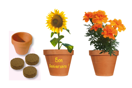 Set "Horticulteur" - 6 macetas de terracota + sustrato - Jardinería niños – 10doigts.fr