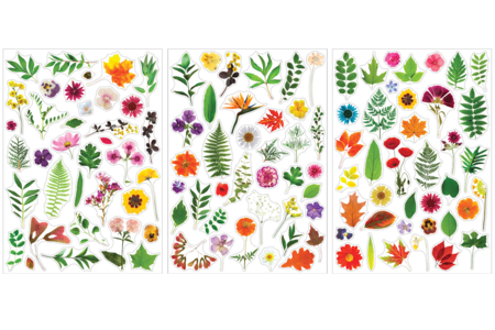 Herbarium Stickers - 3 Sheets (112 pcs) - 7 - Realistic Stickers - 10doigts.com - Realistic Stickers – 10doigts.fr
