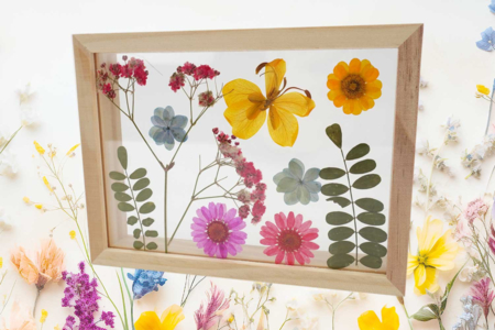 Dried Flowers Frame - 2 - Handicraft Activities to Make Frames - 10doigts.com - Handicraft Activities to Make Frames – 10doigts.fr