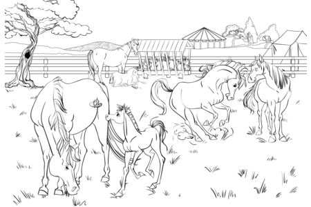 Printable coloring pages: Farm animals10 – 10 Doigts