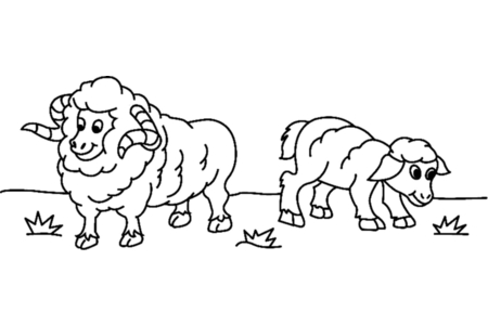 Dibujos para imprimir : Oveja 03 – 10 Doigts