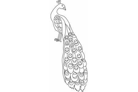 Dibujos para imprimir : Pavo01 – 10 Doigts