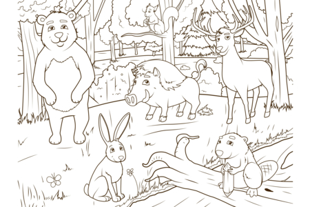Dibujos para imprimir : Animales-bosque2 – 10 Doigts