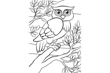 Dibujos para imprimir : Animales-bosque4 – 10 Doigts