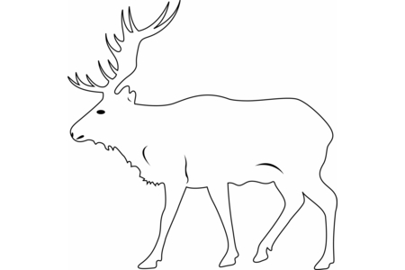 Printable coloring pages: Deer 02 – 10 Doigts