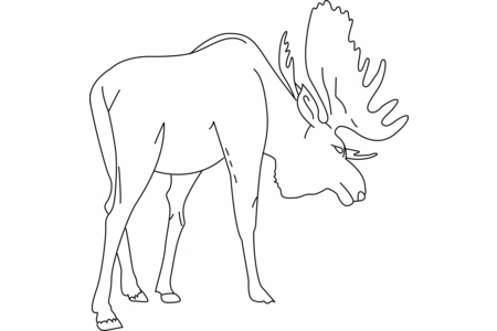 Dibujos para imprimir : Élan 01 – 10 Doigts