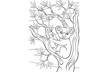 Dibujos para imprimir : Animales-selva5 – 10 Doigts