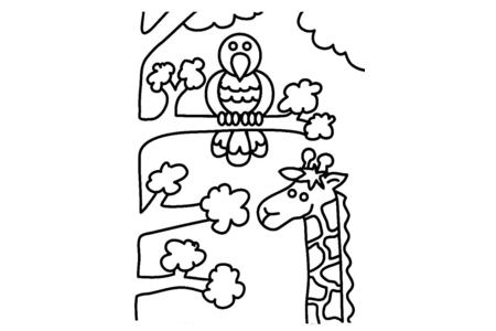 Dibujos para imprimir : Jirafa y pájaro – 10 Doigts