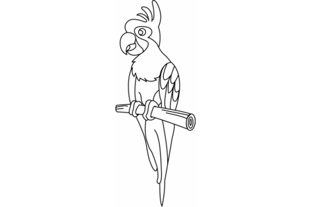 Printable coloring pages: Parrot 01 – 10 Doigts