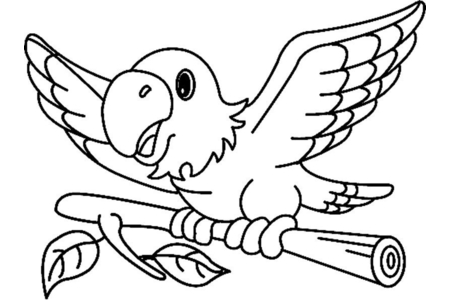 Printable coloring pages: Parrot 02 – 10 Doigts