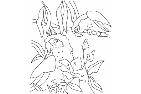 Printable coloring pages: Parrot 03 – 10 Doigts