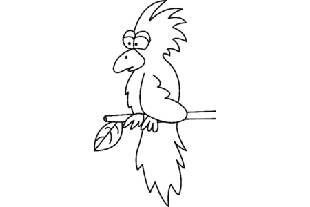 Printable coloring pages: Toucan04 – 10 Doigts