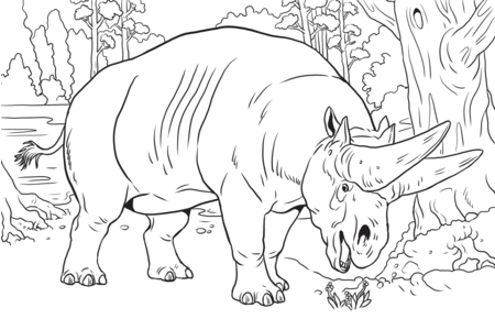 Dibujos para imprimir : Animales-sabana10 – 10doigts