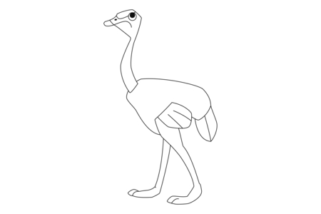 Printable coloring pages: Ostrich 02 – 10doigts