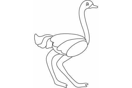 Printable coloring pages: Ostrich 04 – 10doigts