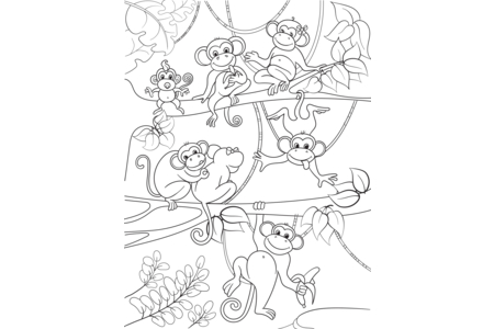 Printable coloring pages: Monkey 12 – 10doigts