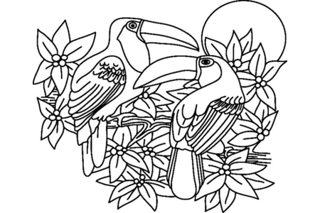 Printable coloring pages: Toucan 002 – 10doigts