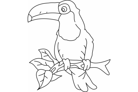 Printable coloring pages: Toucan 003 – 10doigts