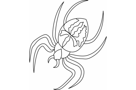 Printable coloring pages: Spider 01 – 10 Doigts