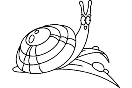 Dibujos para imprimir : Caracol 01 – 10 Doigts