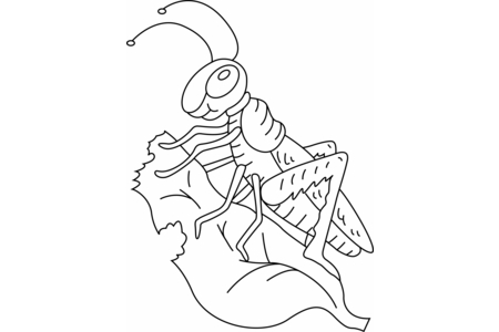 Dibujos para imprimir : Saltamontes 01 – 10 Doigts