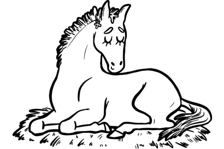 Dibujos para imprimir : Animales domésticos10 – 10 Doigts