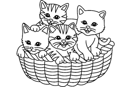 Dibujos para imprimir : Gato 07 – 10 Doigts