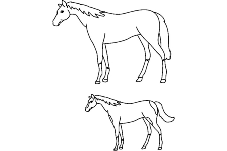 Dibujos para imprimir : Caballo02 – 10 Doigts