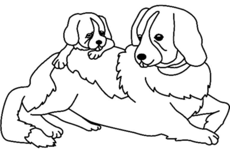 Dibujos para imprimir : Perro 07 – 10 Doigts