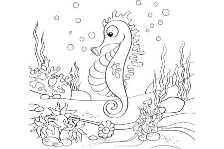 Printable coloring pages: Sea-animals3 – 10doigts