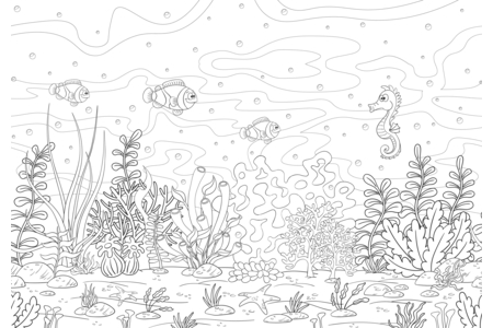 Printable coloring pages: Marine animals 6 – 10doigts