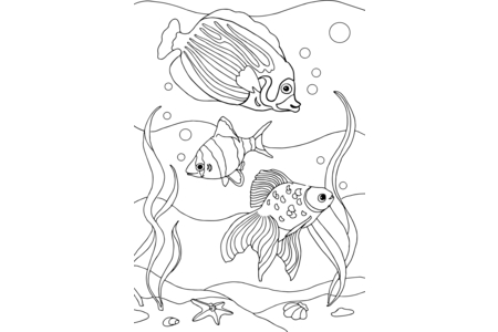 Dibujos para imprimir : Animales marinos8 – 10doigts