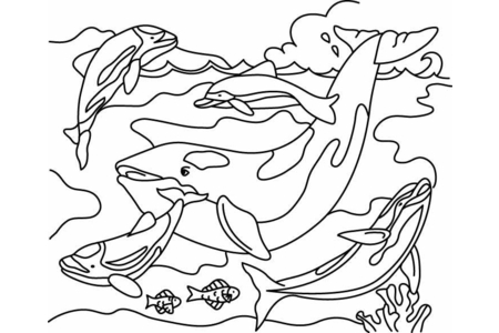 Printable coloring pages: Whale 03 – 10doigts