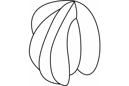 Printable coloring pages: Seashell 01 – 10doigts