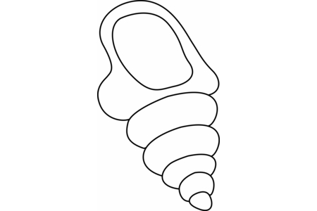 Printable coloring pages: Seashell 03 – 10doigts