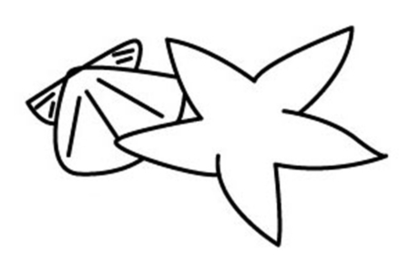 Dibujos para imprimir : Estrella de mar 03 – 10doigts