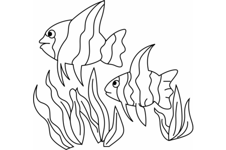 Printable coloring pages: Fish 12 – 10doigts