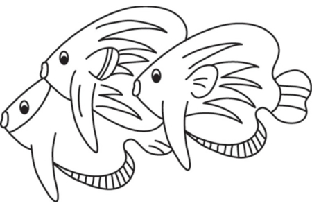 Printable coloring pages: Fish 25 – 10doigts